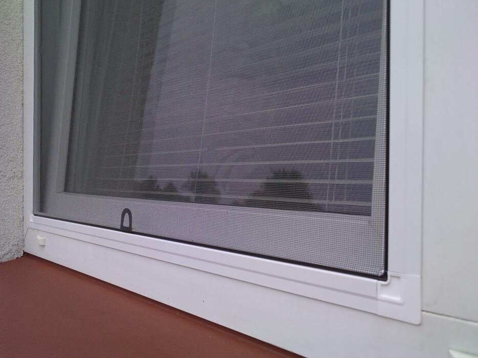 Портрет человека