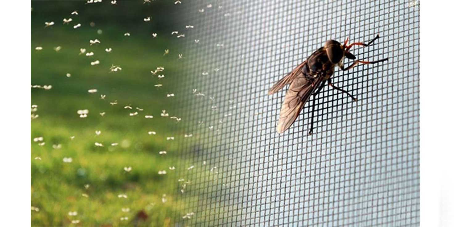 Портрет человека