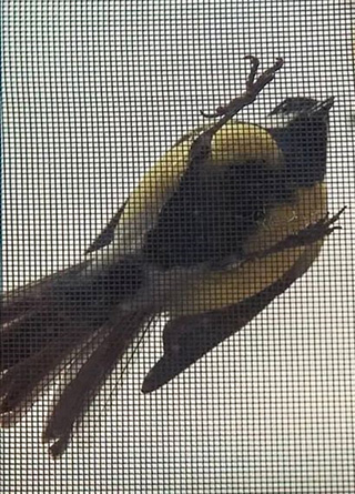 Портрет человека