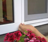 Портрет человека